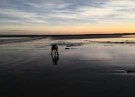 Breskens Haven: Relax, Explore & Dine