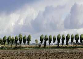 Breskens Haven: Relax, Explore & Dine