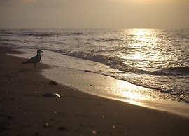 Lake View Apartment in Klein Pravtshagen near Seabeach with Garden