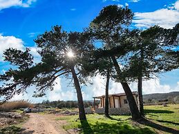 Secluded Holiday Home in Pašman near Sea