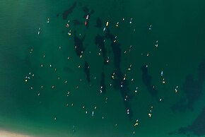 Hawthorn Suites by Wyndham Dwarka