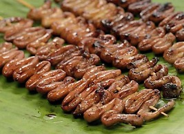 Cebu Hostel and Glamping