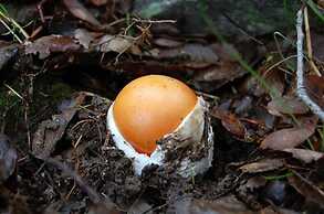 La Casa Grande de Adolfo