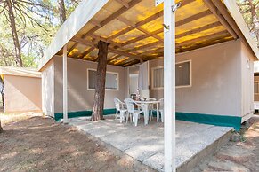 Club Del Sole Spina Family Collection