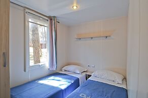 Club Del Sole Spina Family Collection