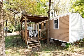 Club Del Sole Spina Family Collection