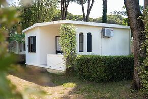 Club Del Sole Spina Family Collection