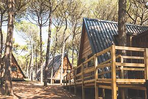 Club Del Sole Spina Family Collection