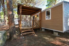 Club Del Sole Spina Family Collection