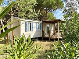 Club Del Sole Spina Family Collection