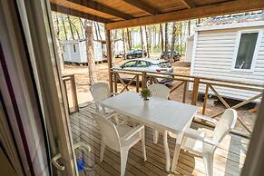 Club Del Sole Spina Family Collection