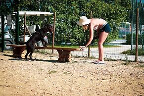 Club Del Sole Adriano Family Collection