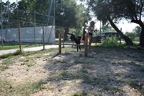 Club Del Sole Adriano Family Collection