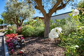 Club Del Sole Stork Family Collection