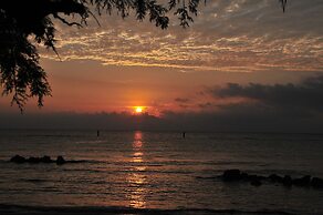 Club Del Sole Stork Family Collection