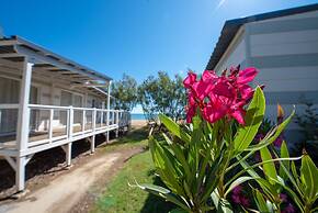 Club Del Sole Stork Family Collection