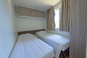 Club Del Sole Stork Family Collection