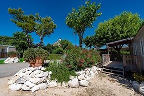 Club Del Sole Stork Family Collection