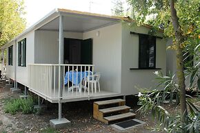 Club Del Sole Stork Family Collection