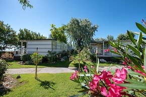 Club Del Sole Stork Family Collection