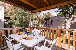 Club Del Sole Stork Family Collection