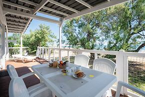 Club Del Sole Stork Family Collection