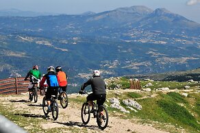 Club Del Sole Stork Family Collection