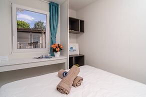 Club Del Sole Stork Family Collection