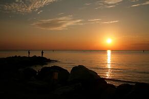 Club Del Sole Stork Family Collection