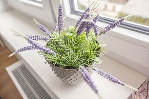 Arbio I Dehnhaide Apartments