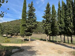 Villa in La Mole With Private Pool