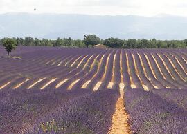 Villa in La Mole With Private Pool