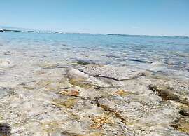 Adriatic Island Stay With Pool