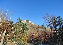 Quaint Holiday Home in Lovinac With Terrace