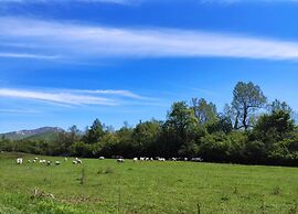 Quaint Holiday Home in Lovinac With Terrace