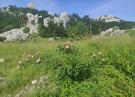 Lovely Holiday Home in Lovinac With Garden
