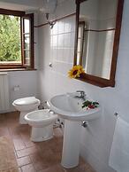 Holiday Home in Volterra With Pool