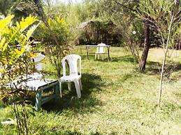 Mseven Gardens M7