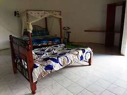 Mseven Gardens M7