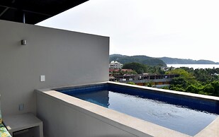 Agaves 203