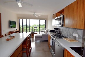 Agaves 203