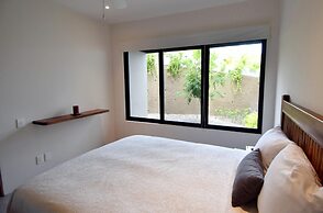 Agaves 203