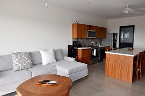 Agaves 203