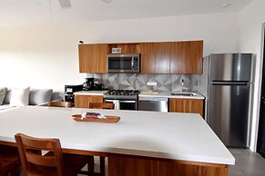 Agaves 203