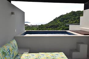 Agaves 203