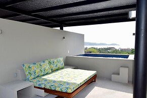 Agaves 203