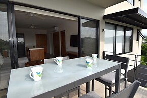 Agaves 203