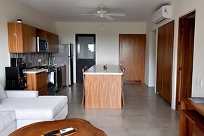Agaves 203