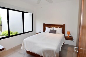Agaves 203