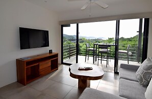 Agaves 203